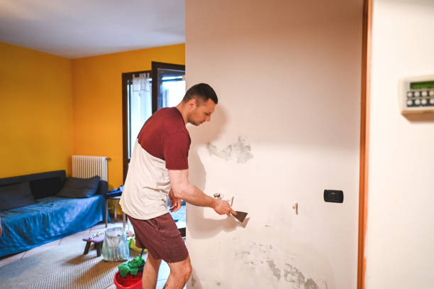 Best Health and Safety Mold Remediation in Temesl Valley, CA